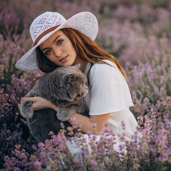 Pets